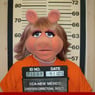 Zahnspange81