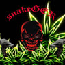 snakeGER