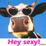 Doreen22