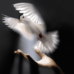 image of chester
