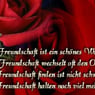 fuchur28