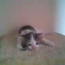 mausi09