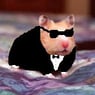 Hamstabagge