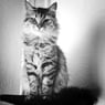 Lucy1408