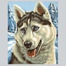 lonleywolf