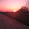 Sunny11111