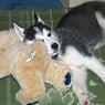 Stefanie2007
