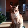 sascha1976