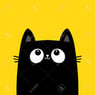 Pinsl