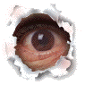 ulrich72