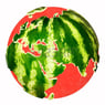 SagentMelon