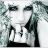 Blacksmettbo