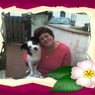 EngelO7O