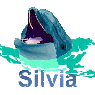 silvia1411
