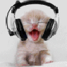 bingomaus