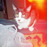 tyson2002