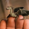 Dragonfly02