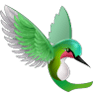 Kolibri