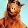 Alf1970