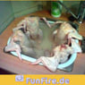 mandymaus4