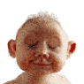 Schnedi