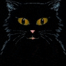 Darkcat10