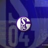 Schalker37