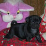 Pugmommy