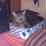 martischka