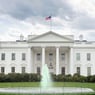 DonataWhitehouse