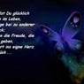Sterne31