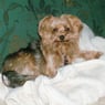 Manuelx2001