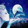 moonlight21