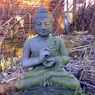 anlomie
