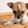 Ichwarsnicht