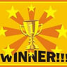 thewinner