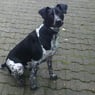 DieterZapp