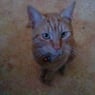 jacky27