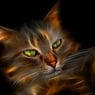 Nicole30