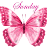 sunday2008