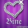 Bineschatz