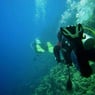 sirod58
