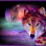 WolvesLove