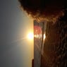 summsi82