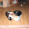 Heike0671