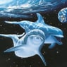 missdelphin0