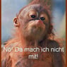 haschl71