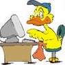 Compiduck