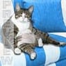 walli1