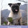 Sammy058